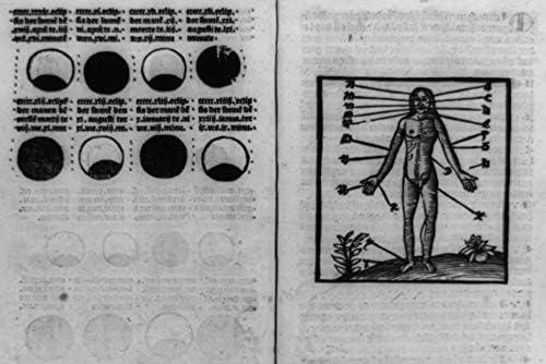 תצלומים אינסופיים 1516 צילום: מדריך להתייחסות לדם | שלבים, ירח, נקודות, מפתח לדמות עירום | ספר